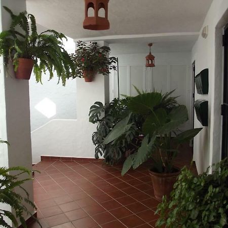Apartamento En Conil Conil De La Frontera Buitenkant foto