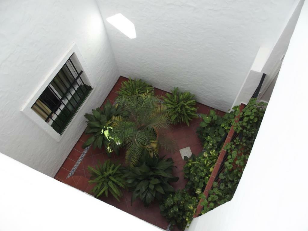 Apartamento En Conil Conil De La Frontera Buitenkant foto